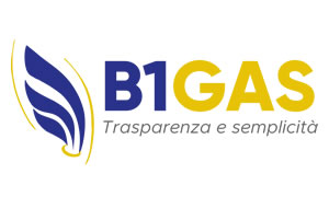 b1gas