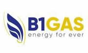 b1gas