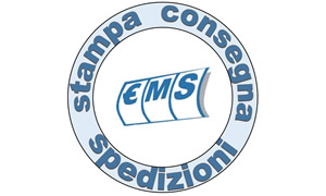 ems-easy-management-solutions-srl